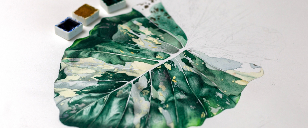 Botanical watercolor with Nicoletalle 