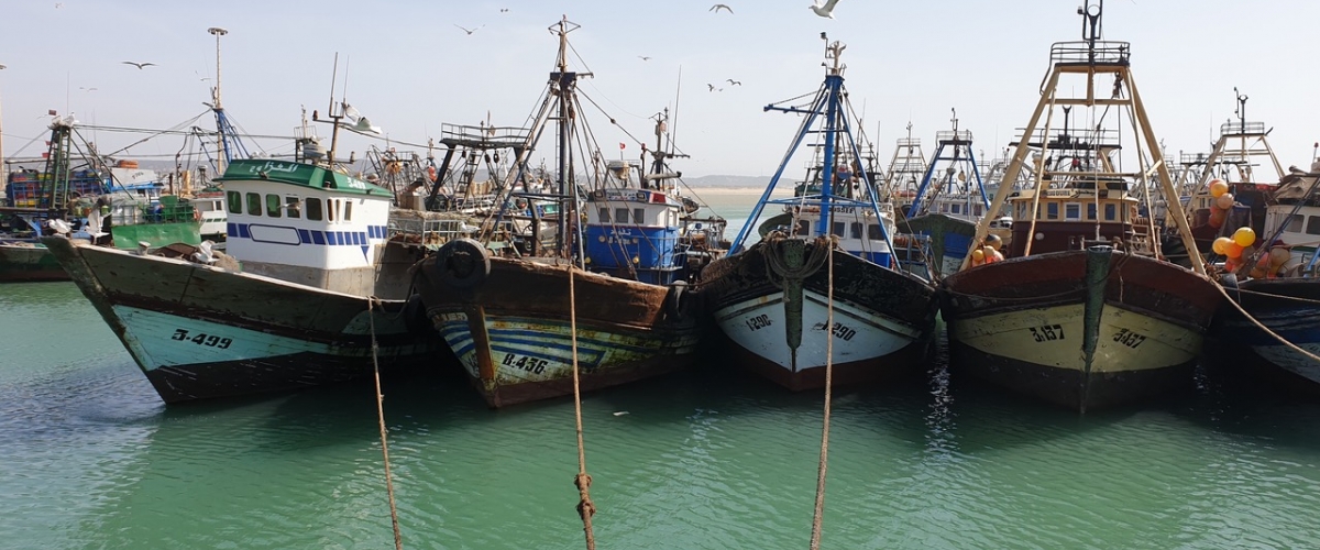 Watercolor Plein Air Workshop in Essaouira With Michael Solovyev