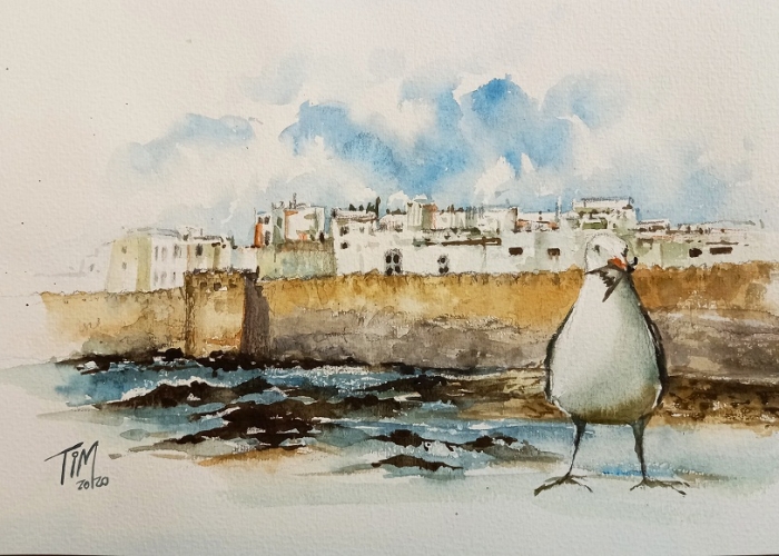 Two consecutive Watercolor workshops with the Asian Artist  Kam Tim Lam in Essaouira