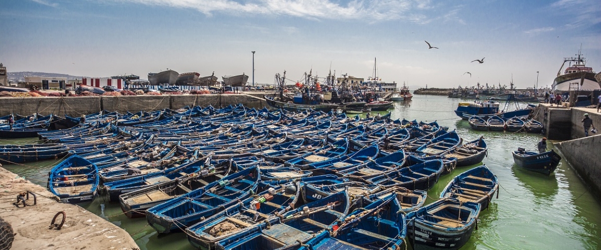 Watercolor Plein Air Workshop in Essaouira With Michael Solovyev